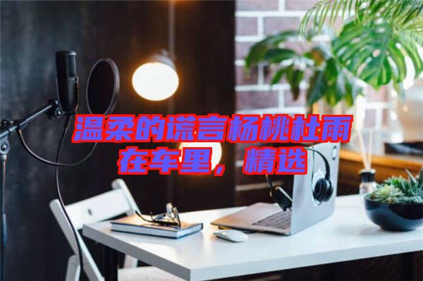 溫柔的謊言楊桃杜雨在車里，精選