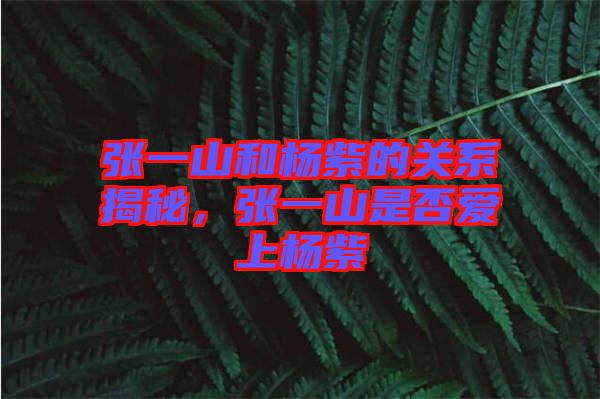 張一山和楊紫的關系揭秘，張一山是否愛上楊紫