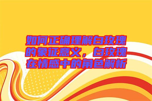 如何正確理解白玫瑰的象征意義，白玫瑰在情感中的角色解析