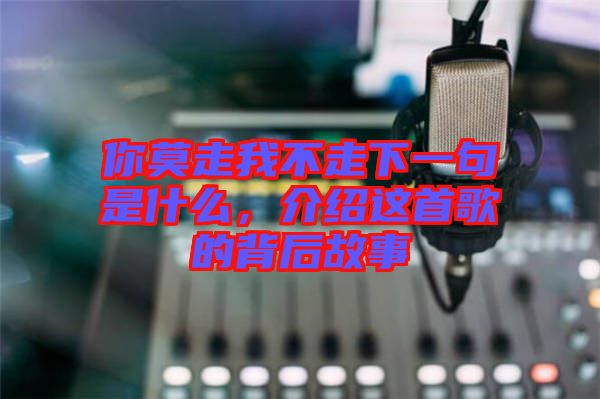 你莫走我不走下一句是什么，介紹這首歌的背后故事