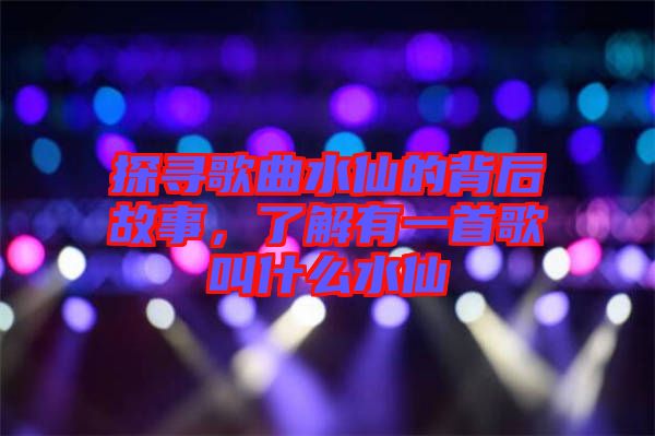 探尋歌曲水仙的背后故事，了解有一首歌叫什么水仙