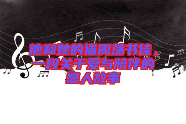他和她的貓周蕩書佳，一段關(guān)于愛與陪伴的感人故事