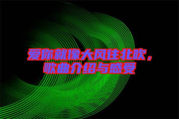 愛你就像大風往北吹，歌曲介紹與感受