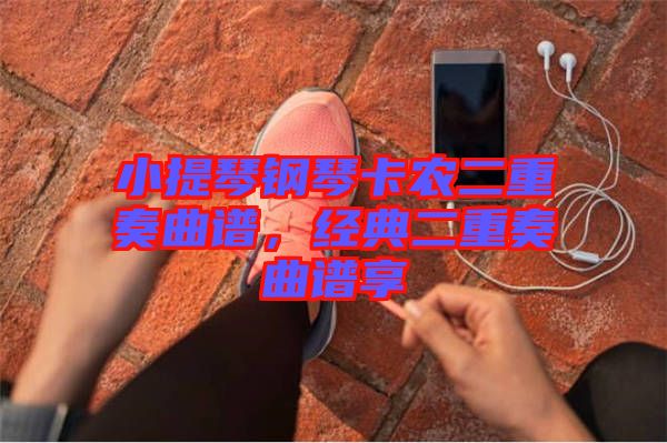 小提琴鋼琴卡農二重奏曲譜，經典二重奏曲譜享