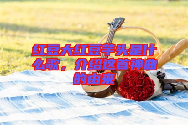 紅豆大紅豆芋頭是什么歌，介紹這首神曲的由來