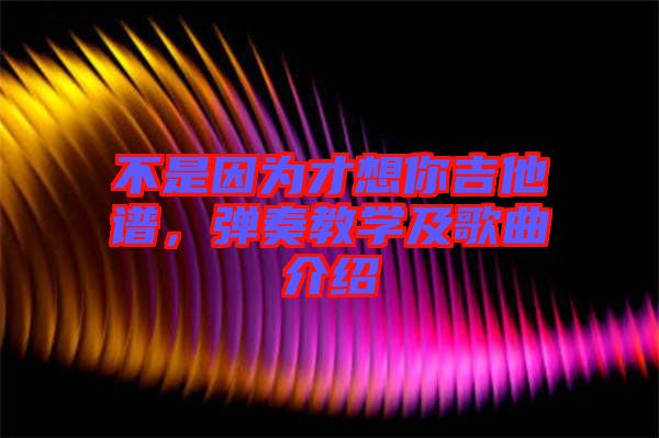 不是因為才想你吉他譜，彈奏教學及歌曲介紹