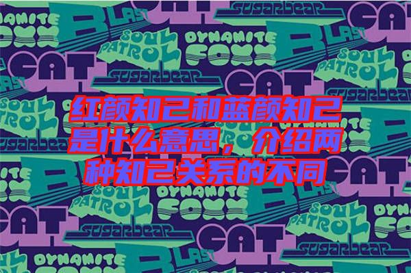 紅顏知己和藍顏知己是什么意思，介紹兩種知己關(guān)系的不同