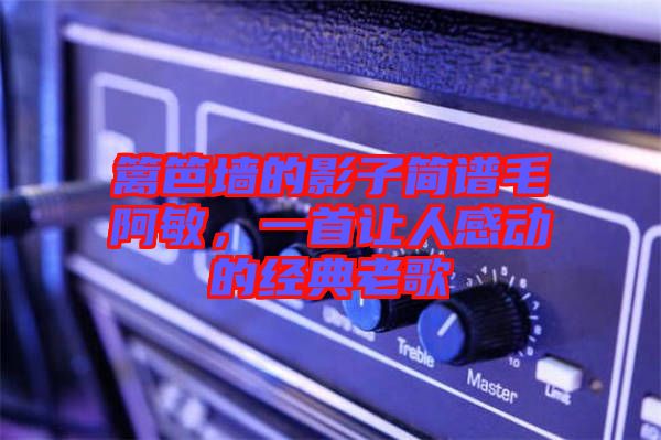 籬笆墻的影子簡譜毛阿敏，一首讓人感動的經(jīng)典老歌