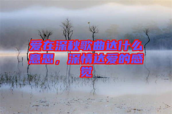 愛在深秋歌曲達什么意思，深情達愛的感覺