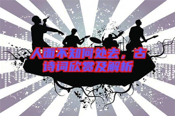 人面不知何處去，古詩詞欣賞及解析