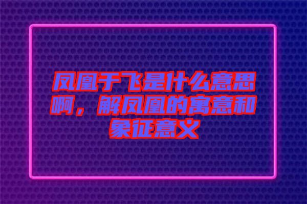 鳳凰于飛是什么意思啊，解鳳凰的寓意和象征意義