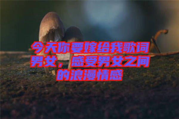 今天你要嫁給我歌詞男女，感受男女之間的浪漫情感