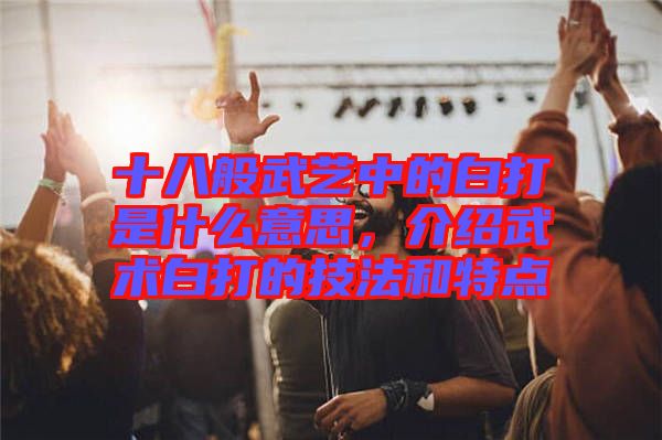 十八般武藝中的白打是什么意思，介紹武術白打的技法和特點