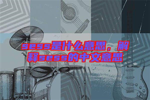 sess是什么意思，解釋sess的中文意思