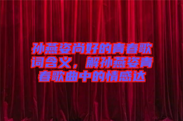 孫燕姿尚好的青春歌詞含義，解孫燕姿青春歌曲中的情感達