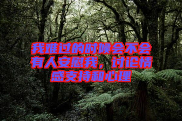 我難過的時候會不會有人安慰我，討論情感支持和心理