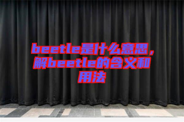 beetle是什么意思，解beetle的含義和用法
