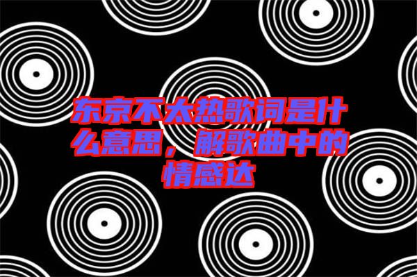 東京不太熱歌詞是什么意思，解歌曲中的情感達
