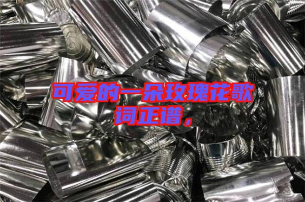 可愛的一朵玫瑰花歌詞正譜，