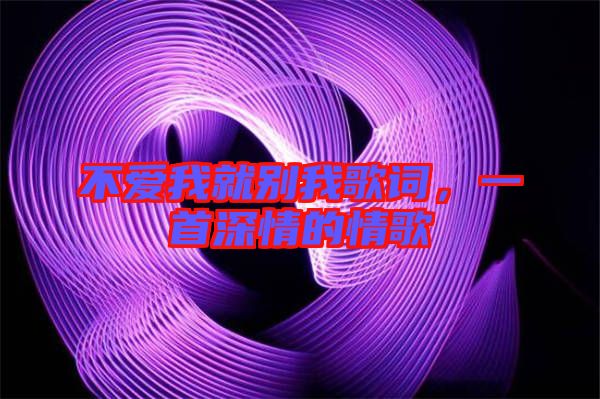 不愛我就別我歌詞，一首深情的情歌