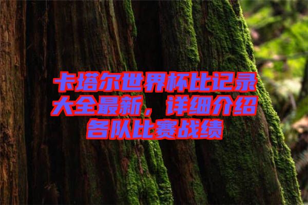 卡塔爾世界杯比記錄大全最新，詳細介紹各隊比賽戰績