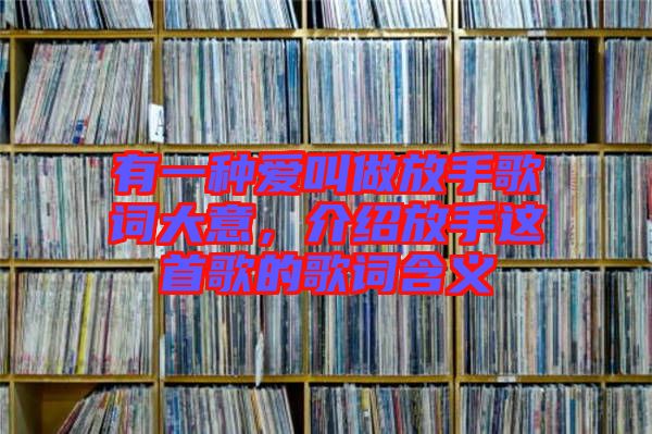 有一種愛叫做放手歌詞大意，介紹放手這首歌的歌詞含義