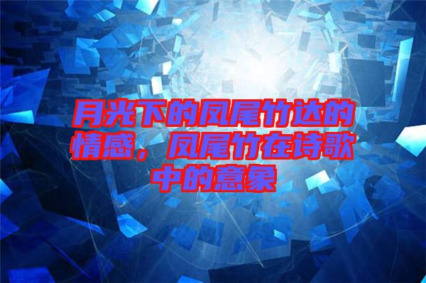 月光下的鳳尾竹達的情感，鳳尾竹在詩歌中的意象