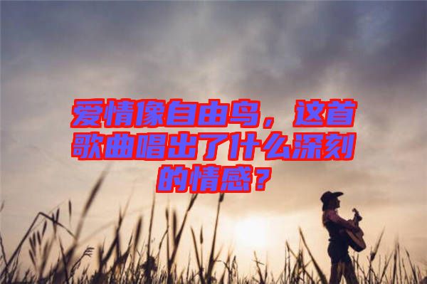 愛情像自由鳥，這首歌曲唱出了什么深刻的情感？