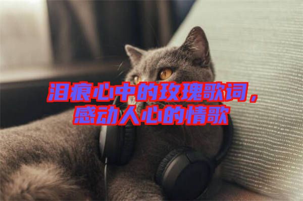 淚痕心中的玫瑰歌詞，感動人心的情歌