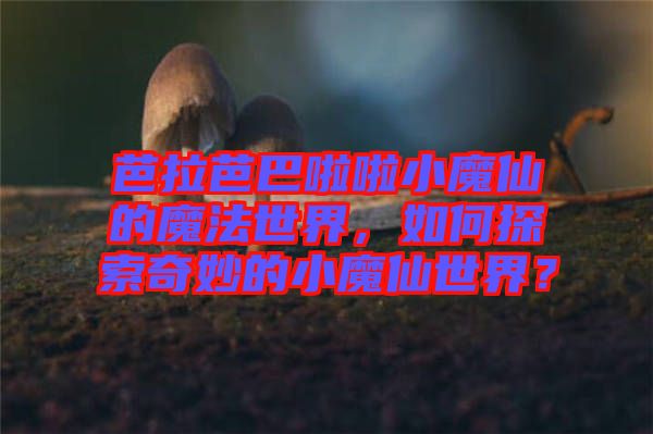 芭拉芭巴啦啦小魔仙的魔法世界，如何探索奇妙的小魔仙世界？