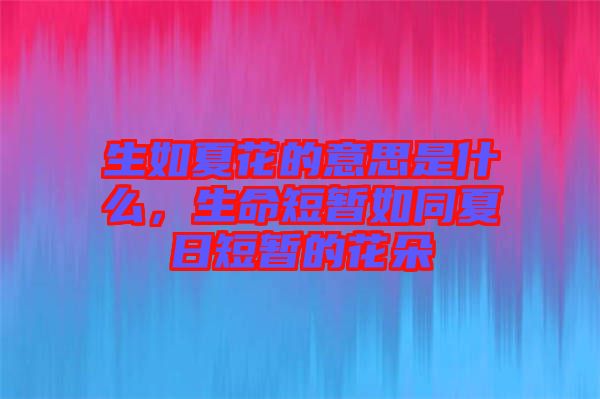 生如夏花的意思是什么，生命短暫如同夏日短暫的花朵