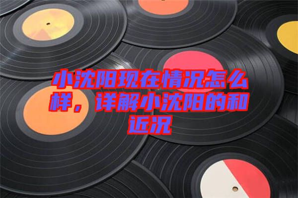 小沈陽現(xiàn)在情況怎么樣，詳解小沈陽的和近況