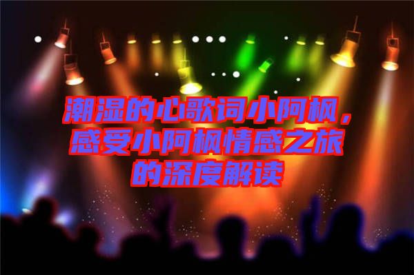 潮濕的心歌詞小阿楓，感受小阿楓情感之旅的深度解讀
