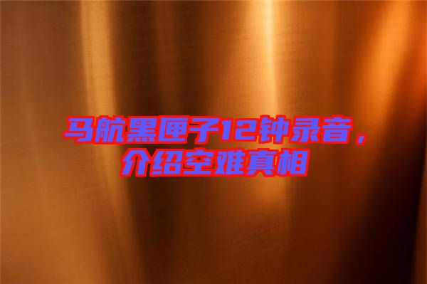 馬航黑匣子12鐘錄音，介紹空難真相