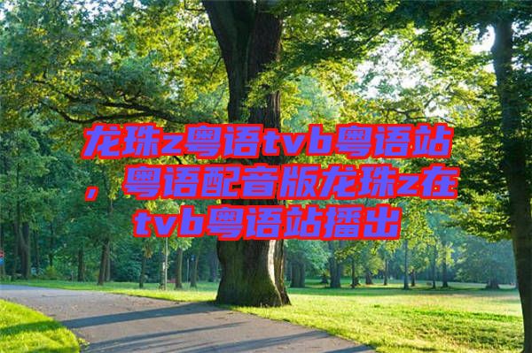 龍珠z粵語tvb粵語站，粵語配音版龍珠z在tvb粵語站播出