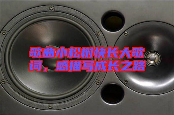 歌曲小松樹快長大歌詞，感描寫成長之路
