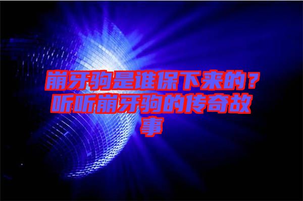 崩牙駒是誰保下來的？聽聽崩牙駒的傳奇故事