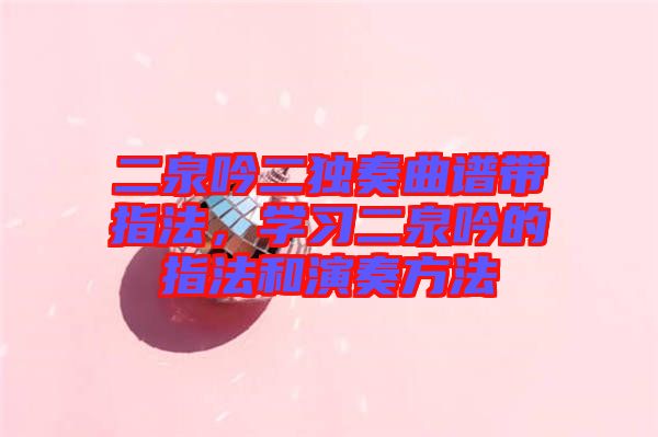 二泉吟二獨(dú)奏曲譜帶指法，學(xué)習(xí)二泉吟的指法和演奏方法
