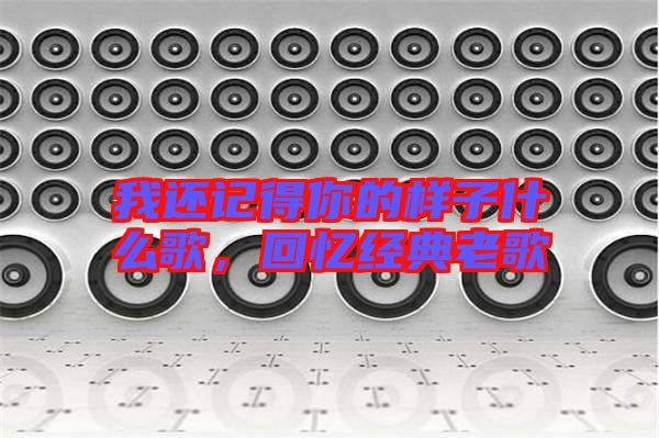 我還記得你的樣子什么歌，回憶經(jīng)典老歌