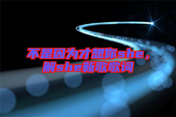 不是因為才想你she，解she新歌歌詞