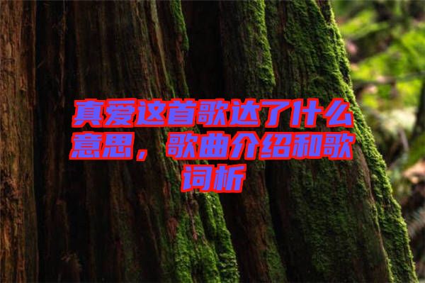 真愛(ài)這首歌達(dá)了什么意思，歌曲介紹和歌詞析