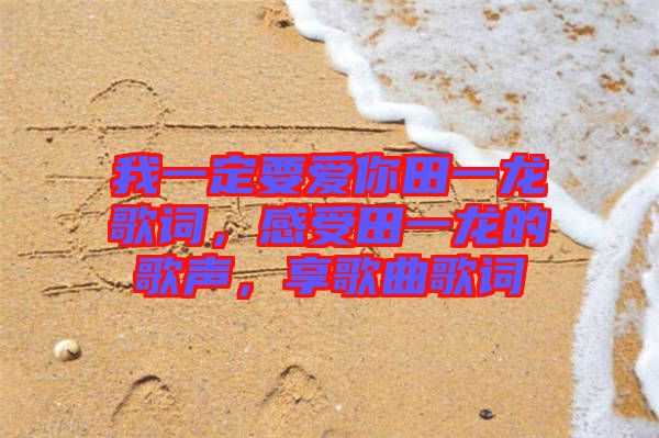 我一定要愛(ài)你田一龍歌詞，感受田一龍的歌聲，享歌曲歌詞