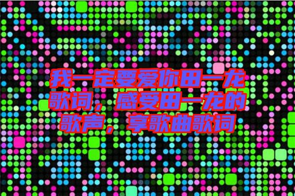 我一定要愛(ài)你田一龍歌詞，感受田一龍的歌聲，享歌曲歌詞
