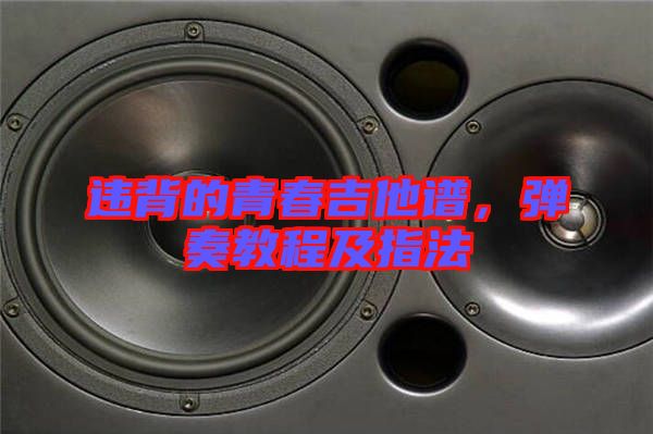 違背的青春吉他譜，彈奏教程及指法