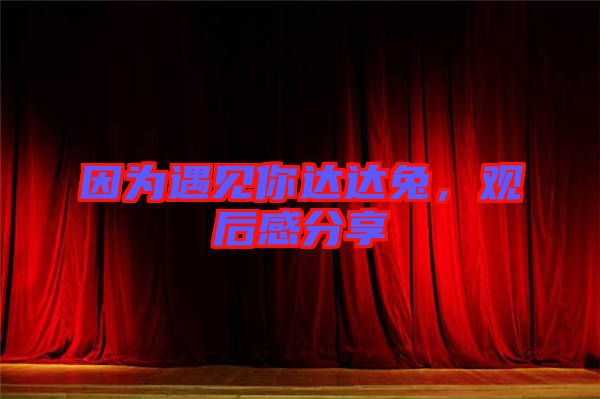 因?yàn)橛鲆?jiàn)你達(dá)達(dá)兔，觀后感分享