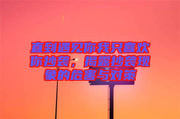 直到遇見你我只喜歡你抄襲，揭露抄襲現(xiàn)象的危害與對策