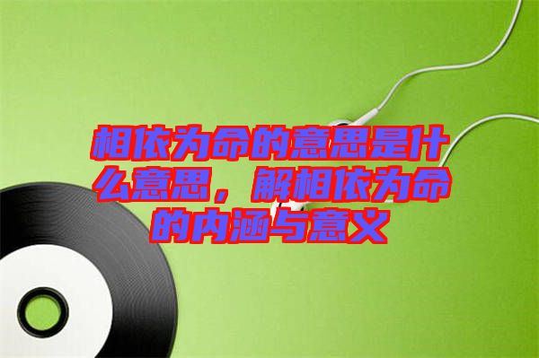 相依為命的意思是什么意思，解相依為命的內涵與意義