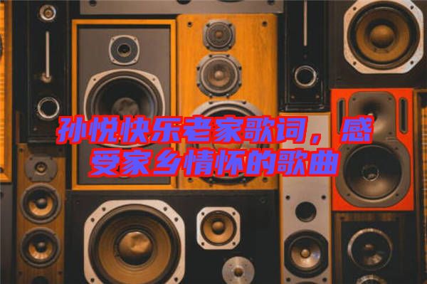 孫悅快樂老家歌詞，感受家鄉(xiāng)情懷的歌曲