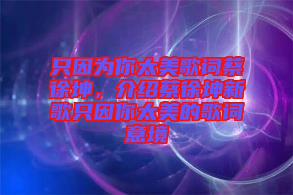 只因為你太美歌詞蔡徐坤，介紹蔡徐坤新歌只因你太美的歌詞意境