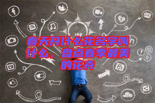 春天開什么花名字叫什么，盤點春季最美的花卉